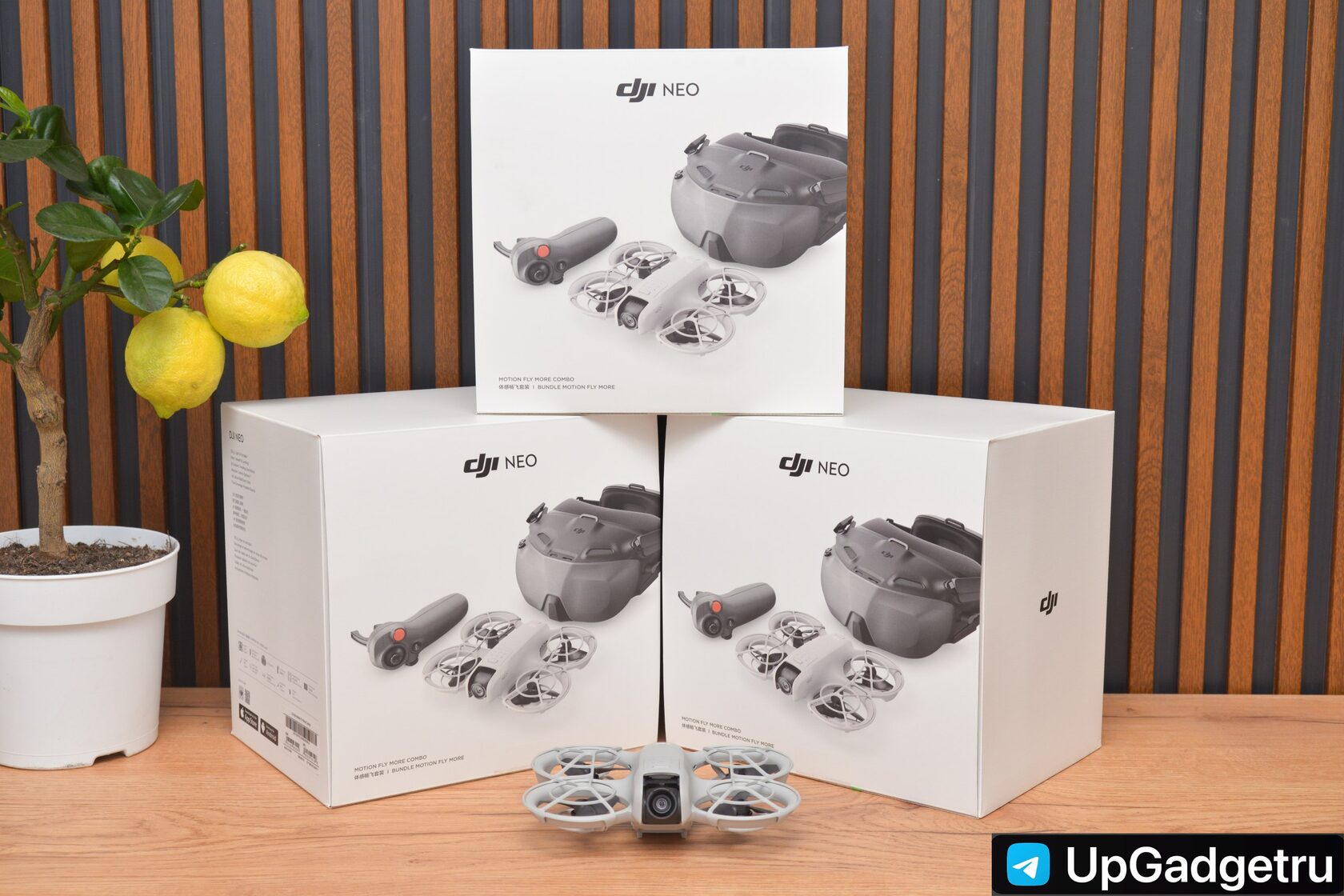 Квадрокоптер DJI Neo Motion Fly More Combo (с очками N3 и пультом Motion 3)