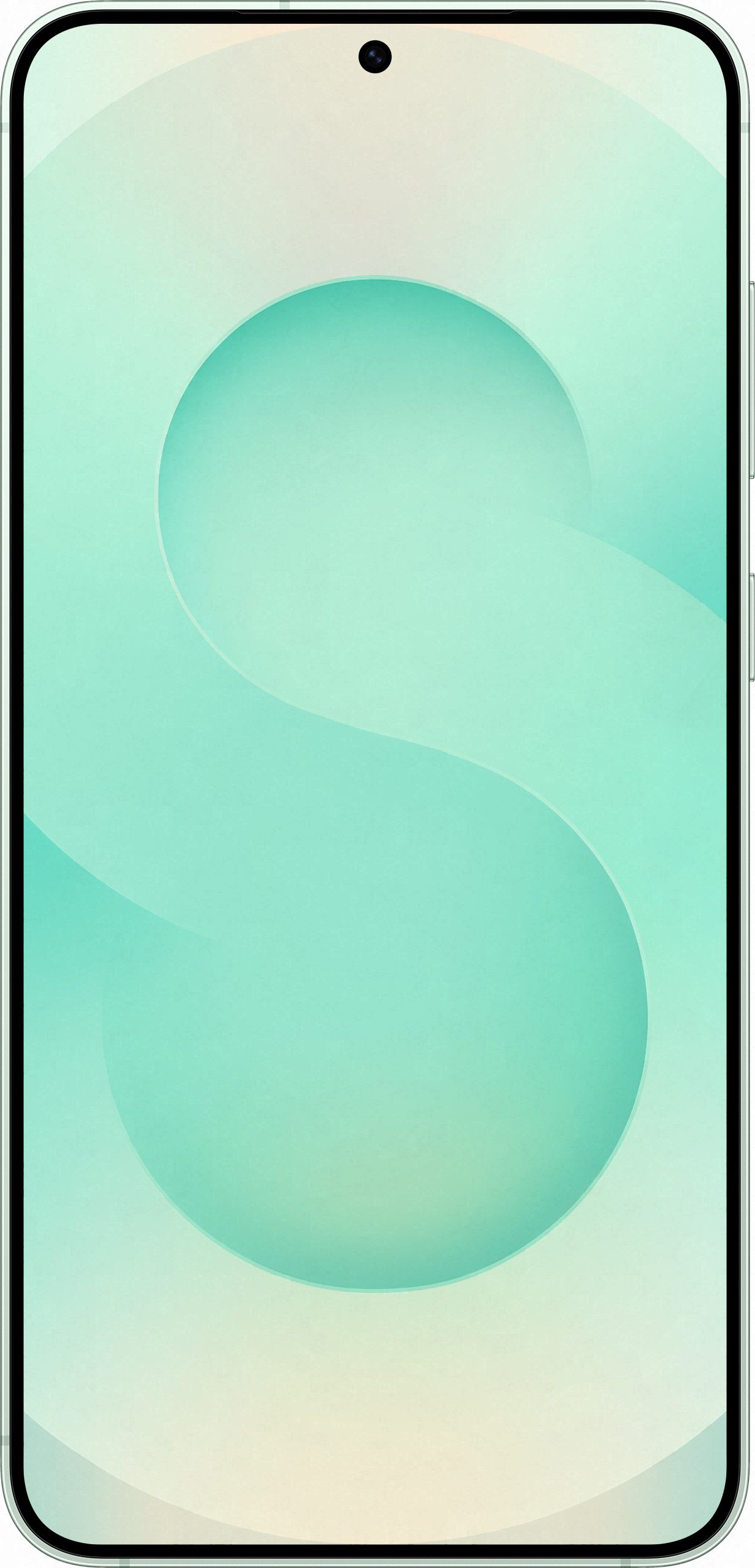 Смартфон Samsung Galaxy S25 Plus | 12/256 ГБ, Мятный