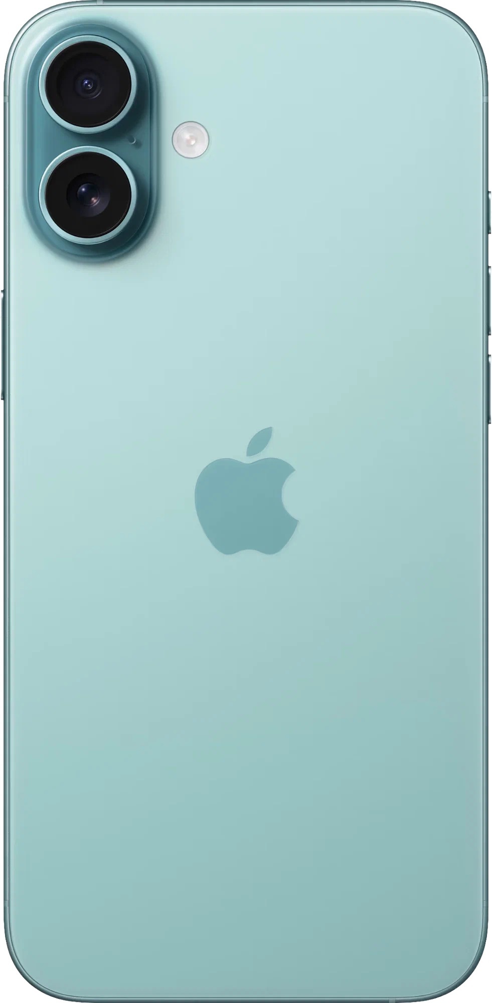 Смартфон Apple iPhone 16 Plus 256 ГБ Бирюзовый (nano SIM+eSIM)