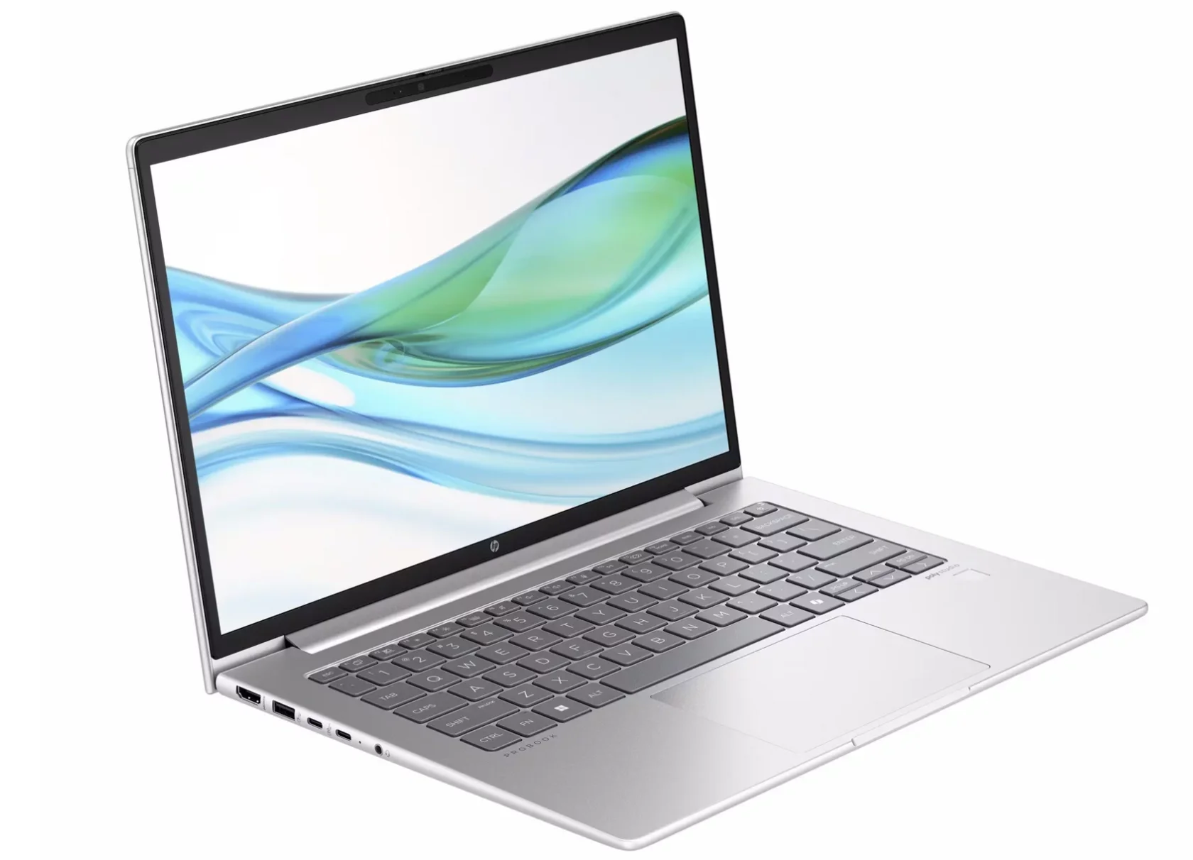 Ноутбук HP ProBook 445 G11 14" (Ryzen 5, 8 ГБ, 256 ГБ SSD)