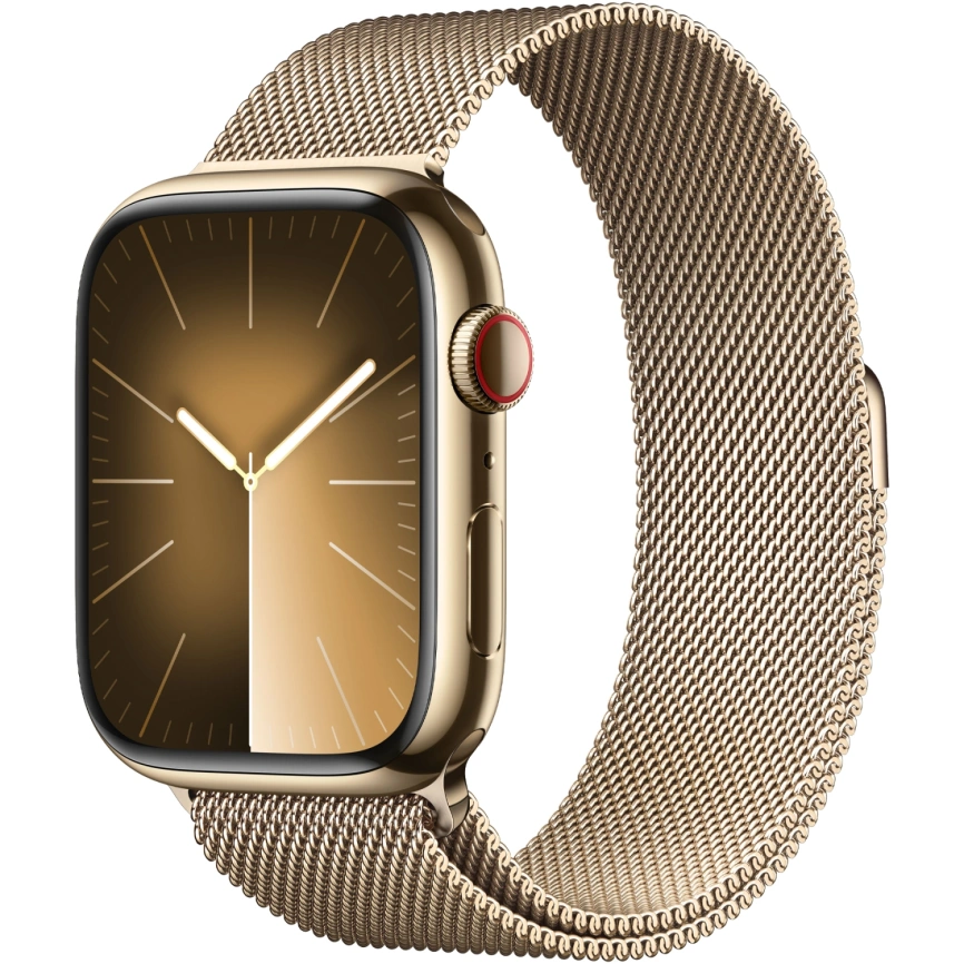 Смарт-часы Apple Watch S9 - 45 mm Steel case | ремешок Milanese Loop | GPS, Gold
