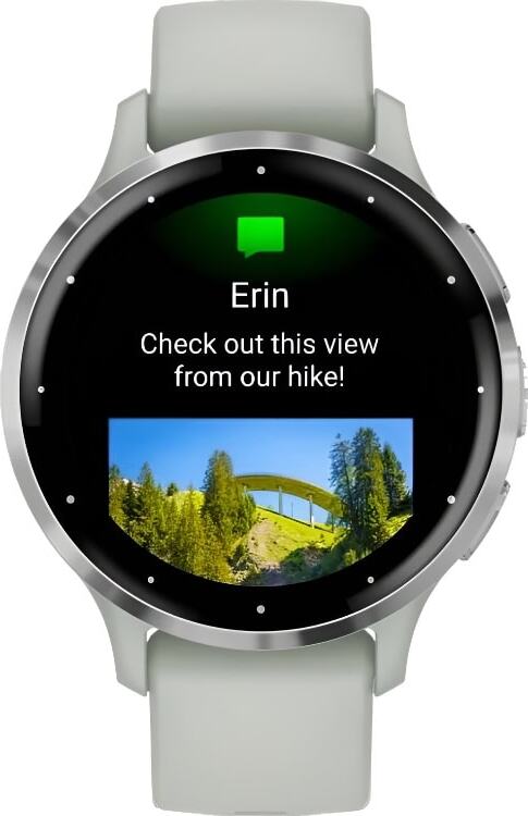 Смарт-часы Garmin Venu 3S - 41 mm, Серо-зеленый, серебристый безель, серый ремешок