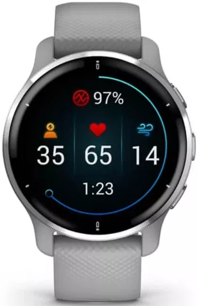 Смарт-часы Garmin Venu 2 Plus - 43 mm, Серый, серебристый безель, силиконовый ремешок