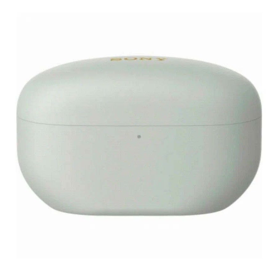 Наушники Sony WF-1000XM5, цвет серебристый