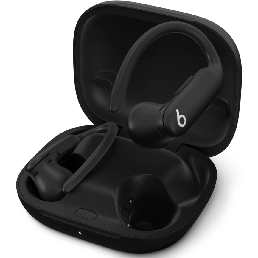 Наушники TWS Beats Powerbeats Pro 2 (Jet Black | Черный)