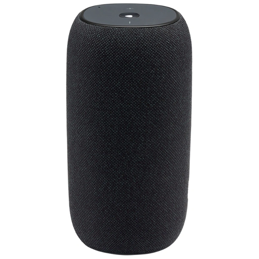 Беспроводная акустика JBL Link Portable Черный