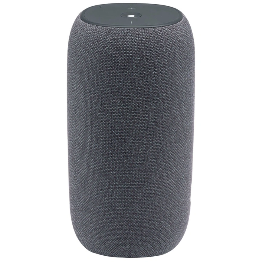 Беспроводная акустика JBL Link Portable Серый