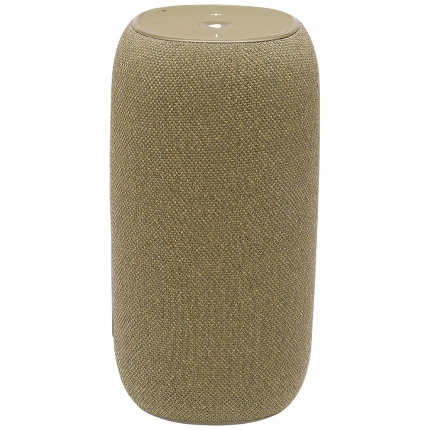 Беспроводная акустика JBL Link Portable Золото