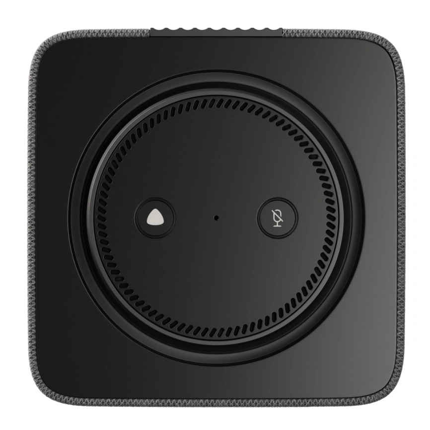 Умная колонка Яндекс Станция Макс с Zigbee, Графит(YNDX-00053K)