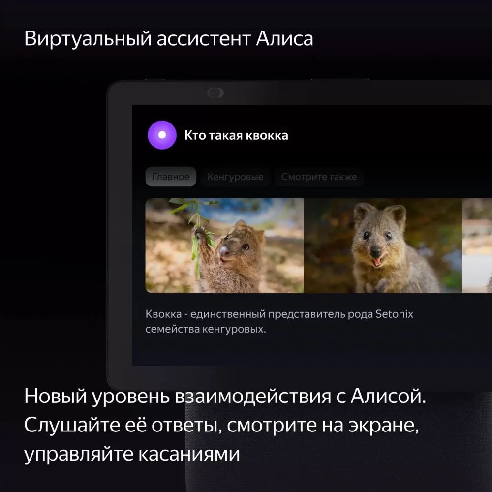 Умная колонка Яндекс Станция Дуо Макс c YaGPT, Черный