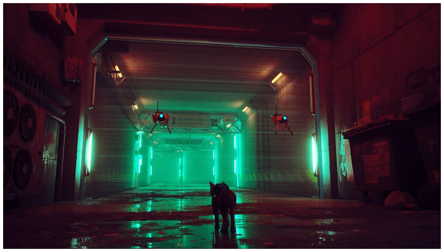 Игра Stray Стандартное издание (PS5)